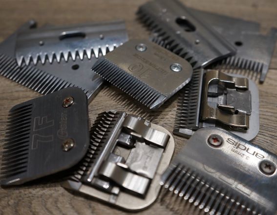 can you sharpen wahl clipper blades